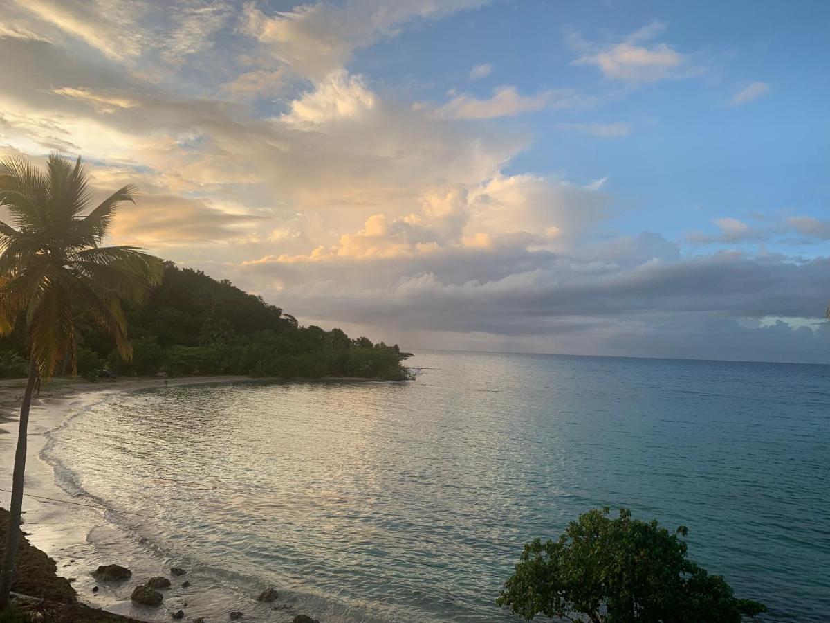 Apartmán Reve Bleu Le Gosier  Exteriér fotografie